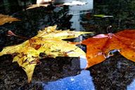 工信部负责同志解读《节能装备高质量发展实施方案(2026—2028年)》