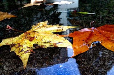 工信部负责同志解读《节能装备高质量发展实施方案(2026—2028年)》